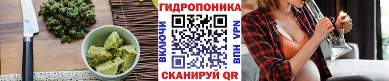 Cannafood конопля Купить где Красный Сулин
