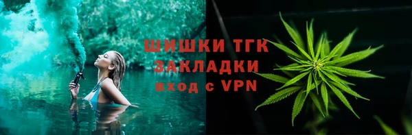 тгк Инта