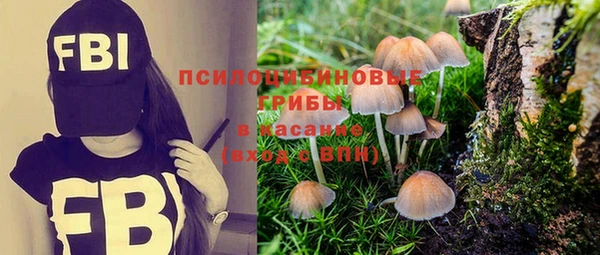 герыч Иннополис