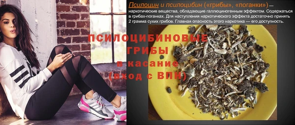 герыч Иннополис