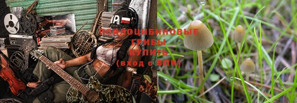 тгк Инта
