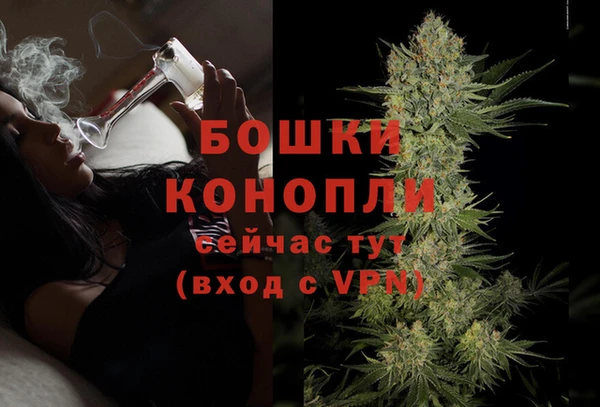 тгк Инта