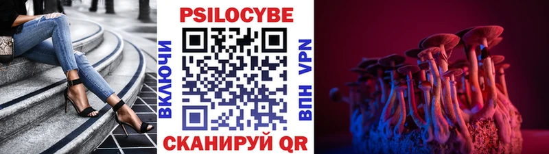 Купить  Красный Сулин  Галлюциногенные грибы GOLDEN TEACHER 